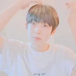 🥟 408a9931 telegram sticker