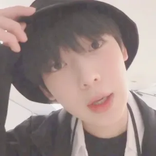 🥟 cc3c76e3 telegram sticker