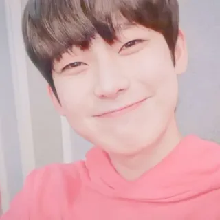 🥟 d85ce48b retrato, persona, sonrisa, asiático, chico, sudadera con capucha telegram sticker