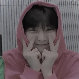 🍍 168b4a44 telegram sticker