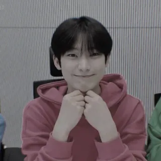 🍍 b3874b6b telegram sticker