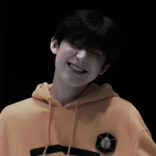 🍍 d68277d5 telegram sticker