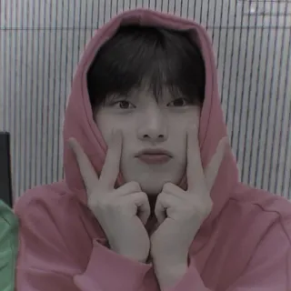 🍍 e4f5cfa0 person, hoodie, portrait, asian, v sign telegram sticker