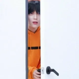 🥕 d8c3e1d9 telegram sticker