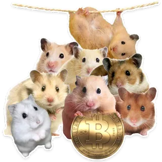 🐹 7fc8dddd hamsters, bitcoin, devise, animaux, mème, monnaie numérique telegram sticker