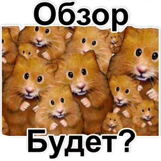 🐹 86ae17d7 Обзор
Будет? hamsters, mème, avis, question, animaux telegram sticker