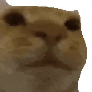 🫥 4abd993f dog, meme, animal, pet whatsapp sticker