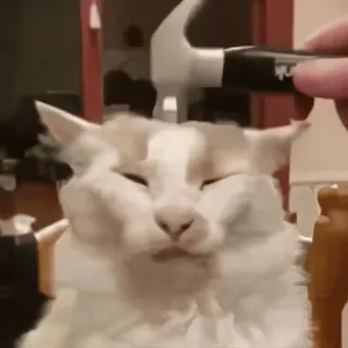 🔨 a40e5f7b cat, funny, animal, hammer, pet, cute whatsapp sticker