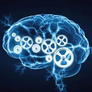 🤓 779d0da1 otak, roda gigi, kecerdasan, berpikir, pikiran, mesin whatsapp sticker