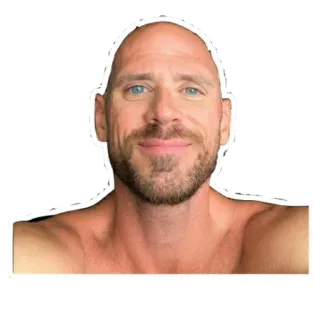 ☺ 10945be2 Johnny Sins ハゲ, 男, アダルトフィルム, 俳優, 男性 telegram sticker