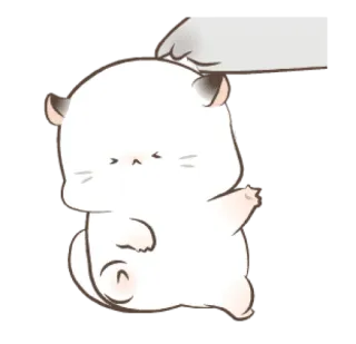 ☺️ 1bebe9f8 猫, 可爱, 卡哇伊, 动物, 宠物 whatsapp sticker
