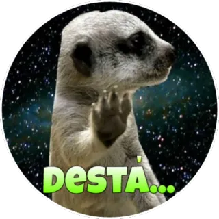 👐 0e11ffca DESTA... сурикат, животное, приветствие whatsapp sticker