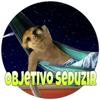 👱 0f0916b2 OBJETIVO SEDUZIR сурикат, гамак, звезды, соблазнение, смешной, животное whatsapp sticker