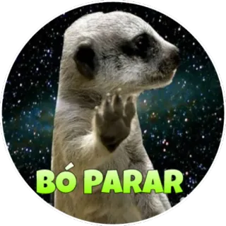 ✋ 29db4a0a BÓ PARAR сурикат, стоп, смешной, животное, мем whatsapp sticker