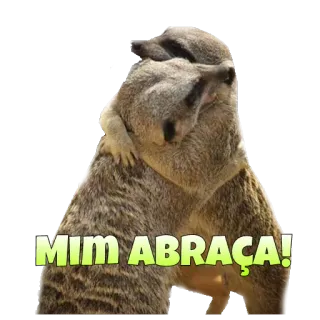 🤗 66a2ee55 Mim abraça! сурикат, объятие, животные, милый whatsapp sticker