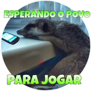 🙇 844c69aa ESPERANDO O POVO PARA JOGAR сурикат, ожидание, игра, телефон, скучно, животное whatsapp sticker