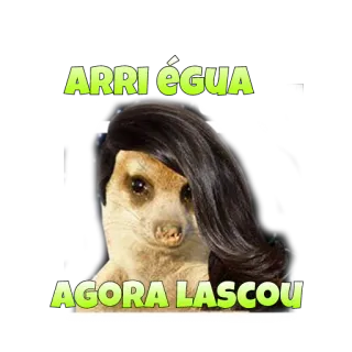 😾 dd311bfa ARRI ÉGUA
AGORA LASCOU суррика́т, парик, юмор, выражение whatsapp sticker
