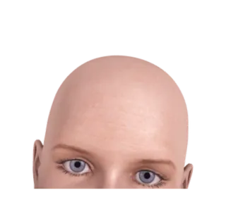 🙄 eeaada4d whatsapp sticker