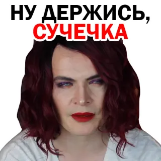 🤗 d16b7183 НУ ДЕРЖИСЬ, СУЧЕЧКА insult, offensive, russian telegram sticker