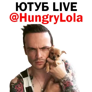 😻 e55a9bbd ЮТУБ LIVE @HungryLola person, dog, tattoos, man, chihuahua, youtube telegram sticker