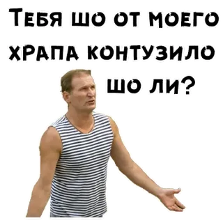 🤣 8dcab174 Тебя шо от моего храпа контузило шо ли? telegram sticker