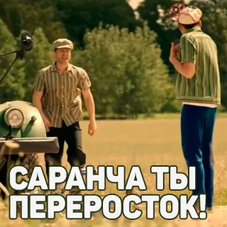 🤬 a7c2a077 САРАНЧА ТЫ ПЕРЕРОСТОК! russian, locust, tall telegram sticker