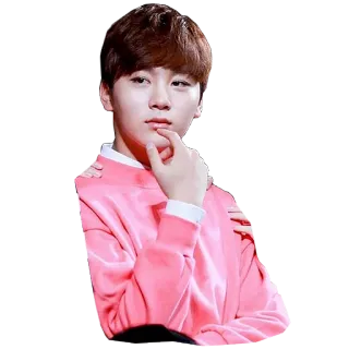 ❓ 22a0e903 person, portrait, boy, pink, kpop, singer whatsapp sticker