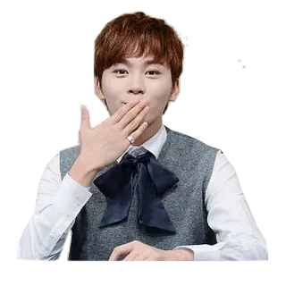 Seventeen telegram stickers