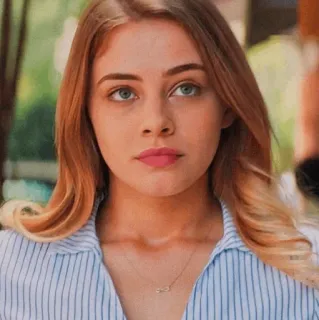 🌼 dcb2a527 telegram sticker