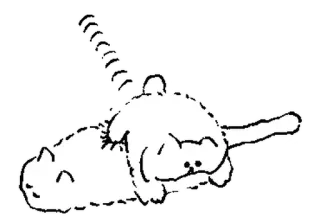 🤍 4067c4d6 gato, animais, desenho animado, fofo, animais de estimação telegram sticker