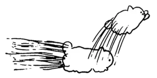 🤍 893d8974 gato, animal, animal de estimação, desenho animado, esboço, kawaii telegram sticker