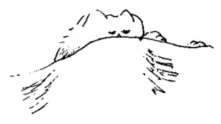 🤍 9f0353e9 telegram sticker