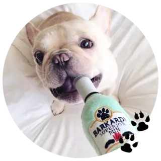 Бульдожки whatsapp stickers