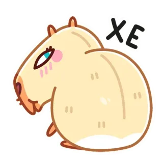 😀 70c3afc3 XE chuột lang nước, gặm nhấm, dễ thương, động vật, kawaii, nhãn dán telegram sticker