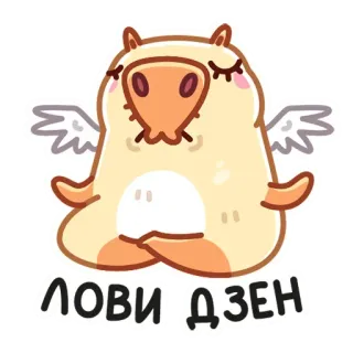 🧘‍♂ cd8d5d03 ЛОВИ ДЗЕН dễ thương, động vật, đôi cánh, thiền, hoạt hình telegram sticker