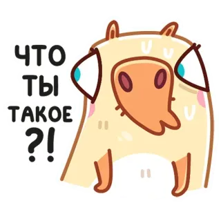 😧 e142aa46 ЧТО ТЫ ТАКОЕ ?! hoạt hình, động vật, câu hỏi, tiếng Nga, bối rối, nhãn dán telegram sticker