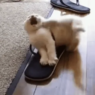 @soundsfromthevagina telegram stickers