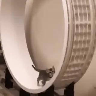 @soundsfromthevagina telegram stickers