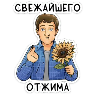 🌻 98ec1473 СВЕЖАЙШЕГО 
ОТЖИМА man, sunflower, offensive gesture, seed, russian, cartoon telegram sticker