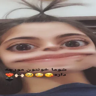 ⭐️ 9a2f9c5f شما خونتون مورچه داره whatsapp sticker