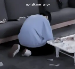 🤍 0597f5a9 no talk me i angy gracioso, meme, enojado, ánimo, triste, mono telegram sticker