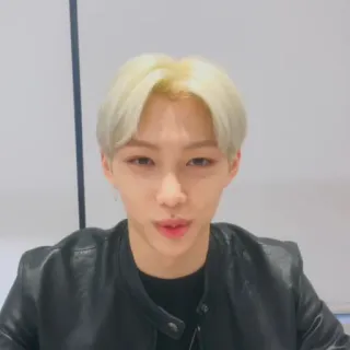 🌚 255057ba man, male, portrait, person, blond hair, jacket telegram sticker