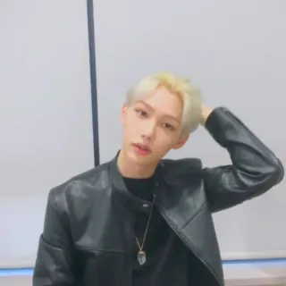 🌚 6b4bffc0 man, blonde hair, jacket, person, indoors, portrait telegram sticker