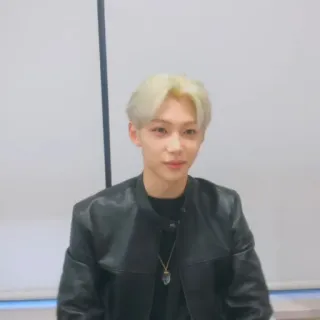 🌚 99593e2c portrait, blonde hair, leather jacket, man, person telegram sticker