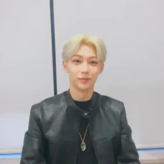 🌚 ca5596f2 person, blonde hair, jacket, portrait telegram sticker