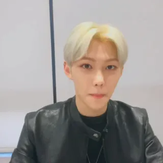 🌚 e4fd76b4 person, portrait, man, blonde hair, leather jacket telegram sticker