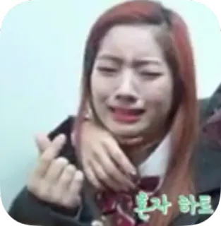 sz telegram stickers