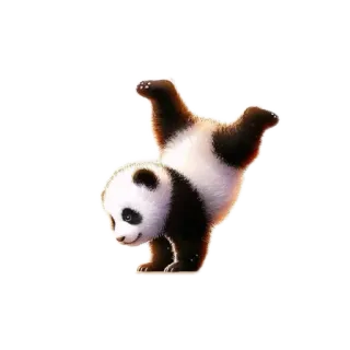 🐱 329aa33f Panda, Animal, Lindo, Oso, Gimnasia telegram sticker