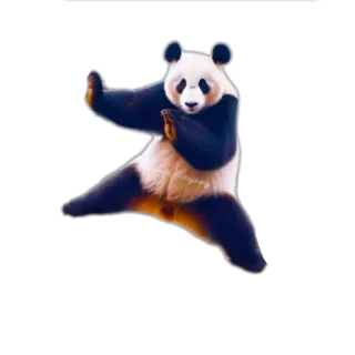 🐦 689422c3 Panda, Artes marciales, Kung fu, Animal, Pegatina, Oso telegram sticker