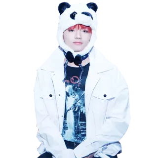 🙂 adbdc979 persona, ídolo, sombrero panda, retrato, cantante telegram sticker